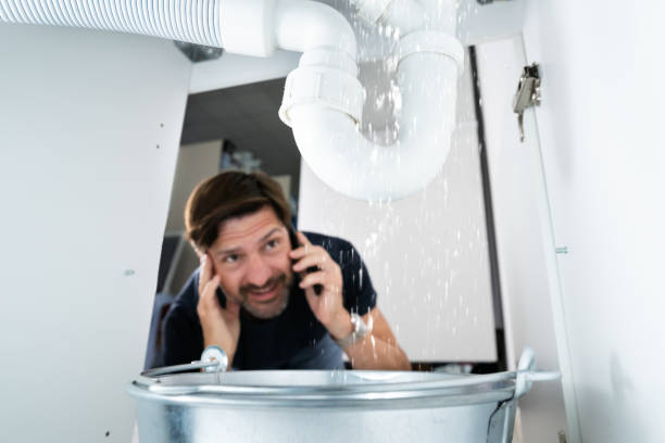 Best Boilers & Radiators  in Hunter, TN